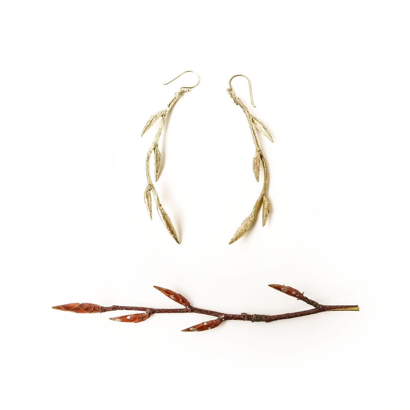 KNOWLEDGE Beech tree Earrings